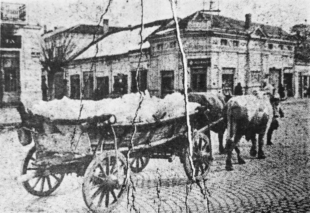 1962 Boško Krstić led za leto