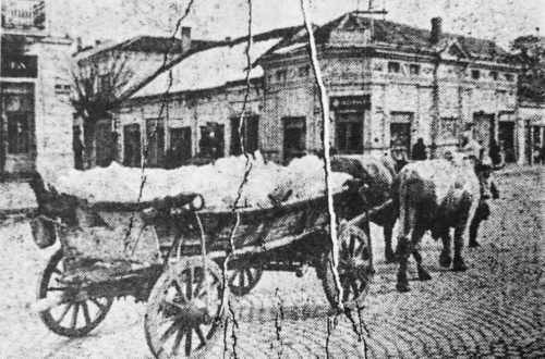 1962 Boško Krstić led za leto